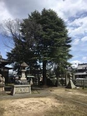 九所御霊天神社