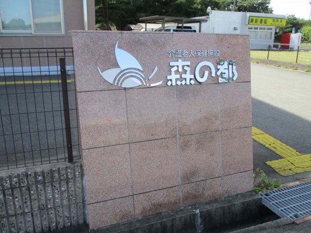 森の都
