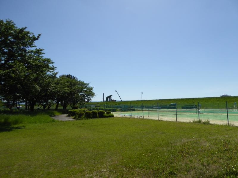 公園の全景