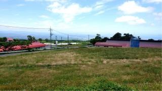 大山放牧場