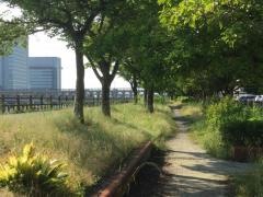 樋井川河畔緑道