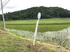 「西小学校前」バス停留所