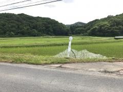 「西小学校前」バス停留所
