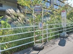「日体大」バス停留所