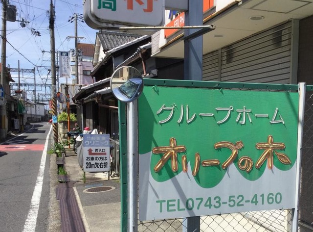 オリーブの木