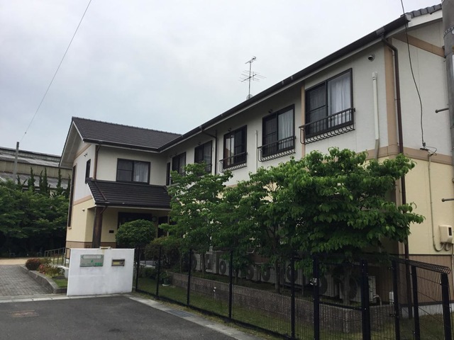 夢楽園