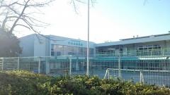 文化女子大学附属すみれ幼稚園