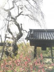 地蔵禅院