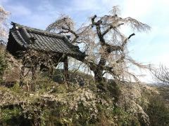 地蔵禅院