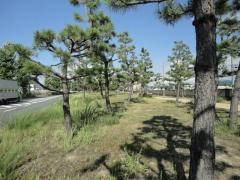 りんくう野出南緑地