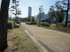 りんくう野出南緑地