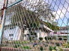 百島幼稚園