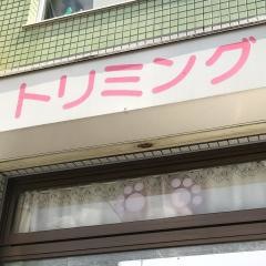 ドリーム極楽店
