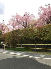 京都吉兆　嵐山本店