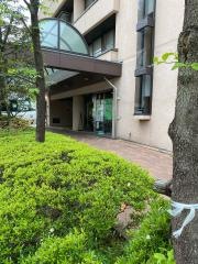 白金の森