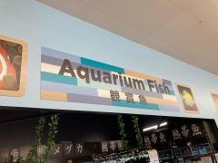 ＡＰＥＴＺ　幸田店