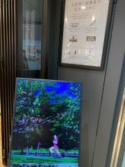 タビオＥｃｈｉｋａ池袋店