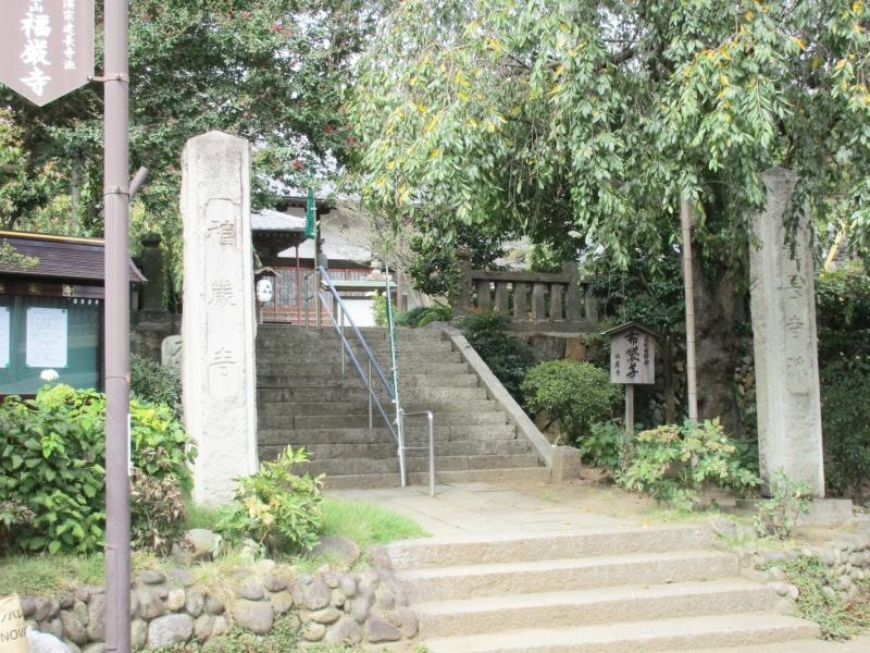 施設外観です。