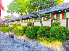 本願寺中央幼稚園