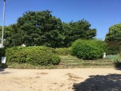 三十合池公園