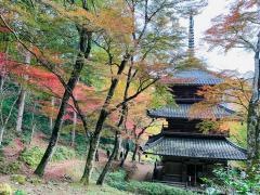 高源寺西天目瑞巌山