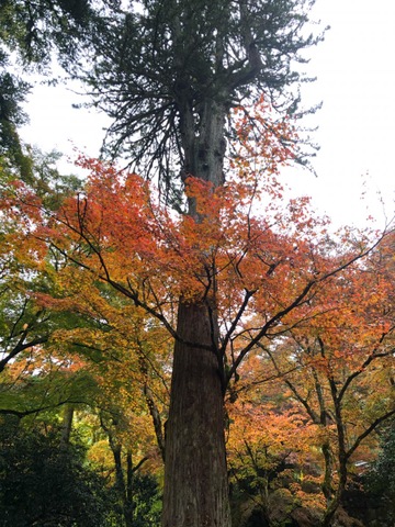 施設写真11