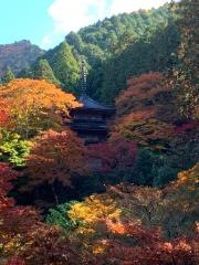 高源寺西天目瑞巌山