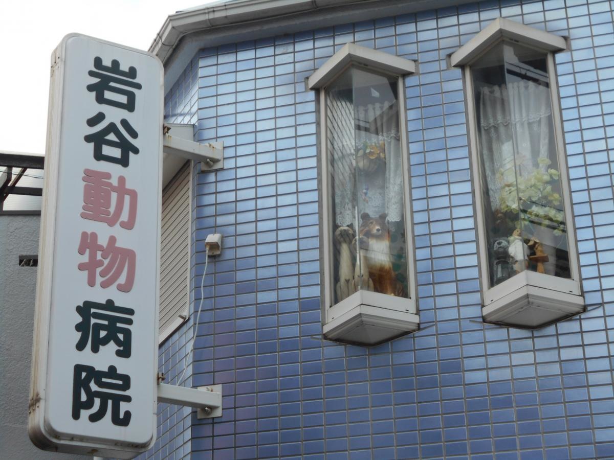 岩谷動物病院 外観