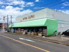 プライスアルファー中村店