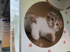 わん１００横浜店