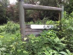 森林公園