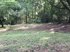 森林公園