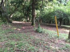 森林公園