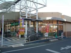 マルフジ南田園店