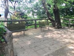 天王森公園