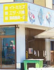 川合観賞魚