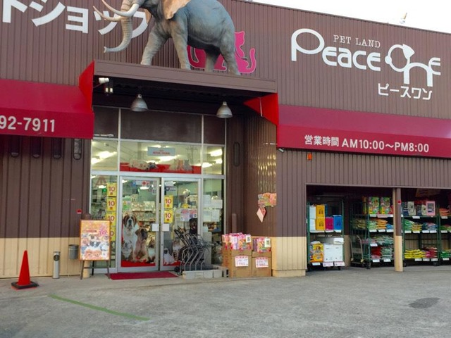 施設写真10
