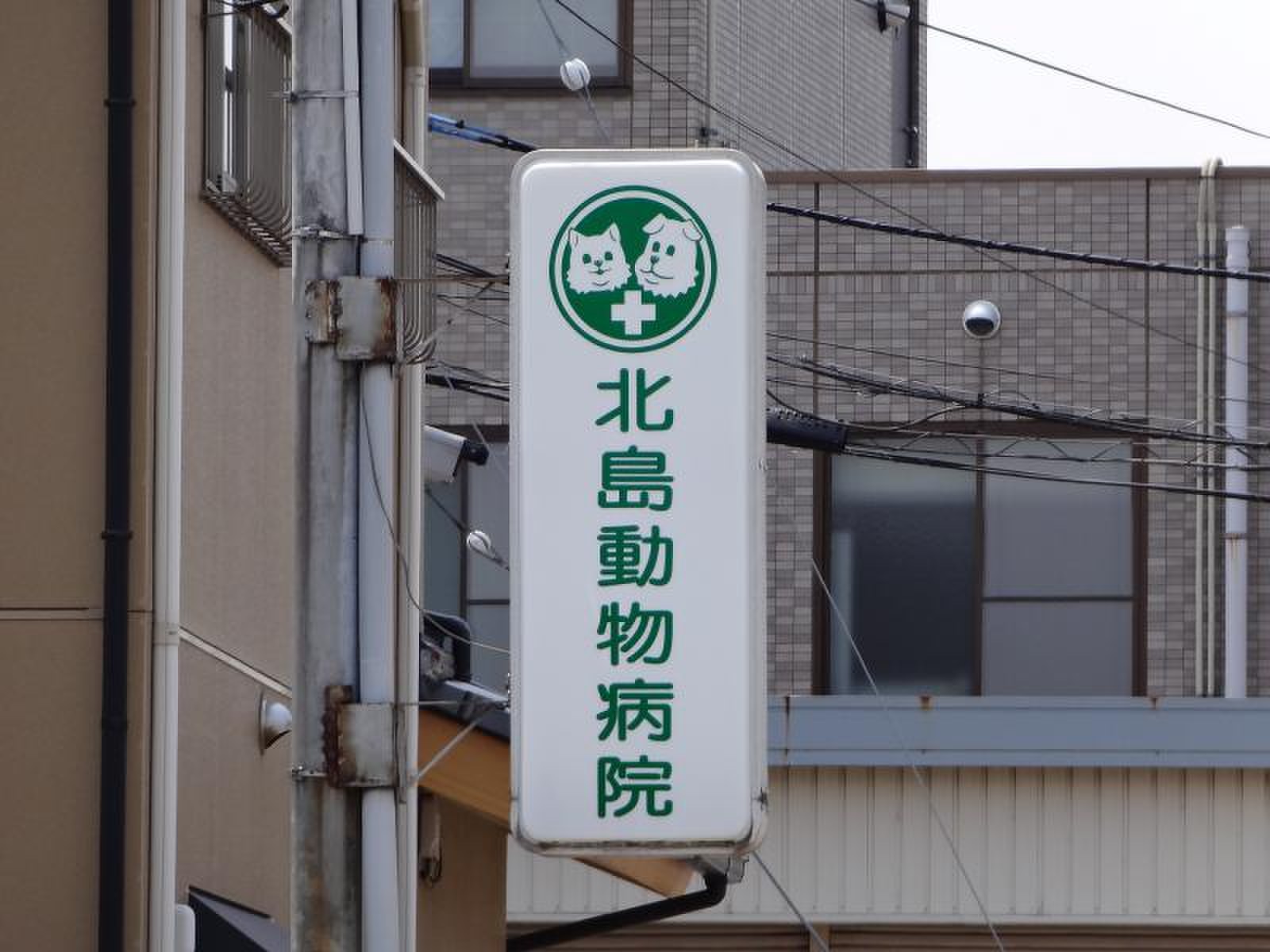 北島 動物 病院