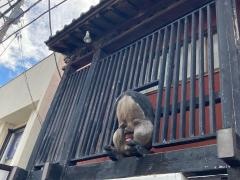 そば処おかめ