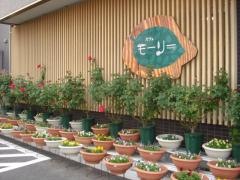 モーリー　赤坂店