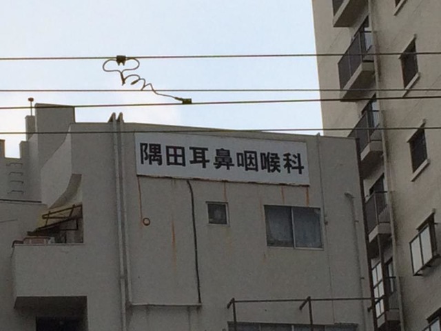 投稿写真6