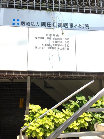 投稿写真1