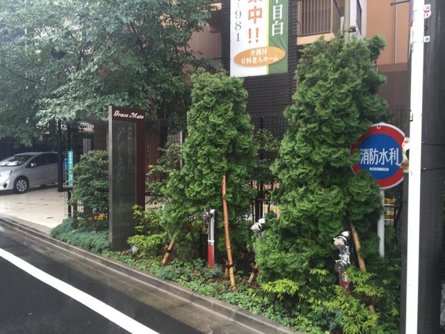 グレースメイト目白 雰囲気