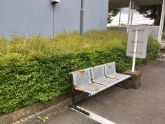 作新学院大学