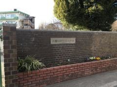 緑小学校