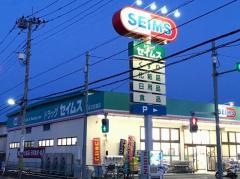 ドラッグセイムス　足立花畑店
