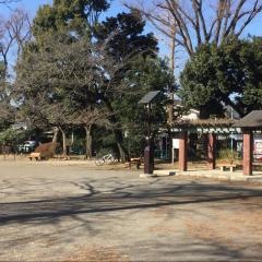 善福寺北緑地