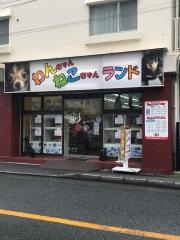 わんちゃんねこちゃんランド川崎店