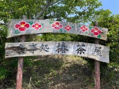 五島バス香珠子椿茶屋
