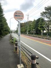 「国際高校入口」バス停留所